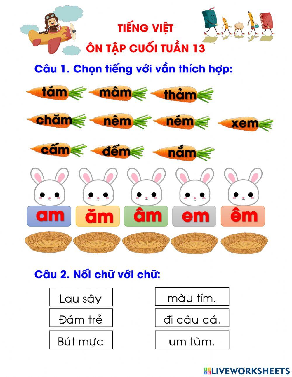 Ôn tập cuối tuần 13