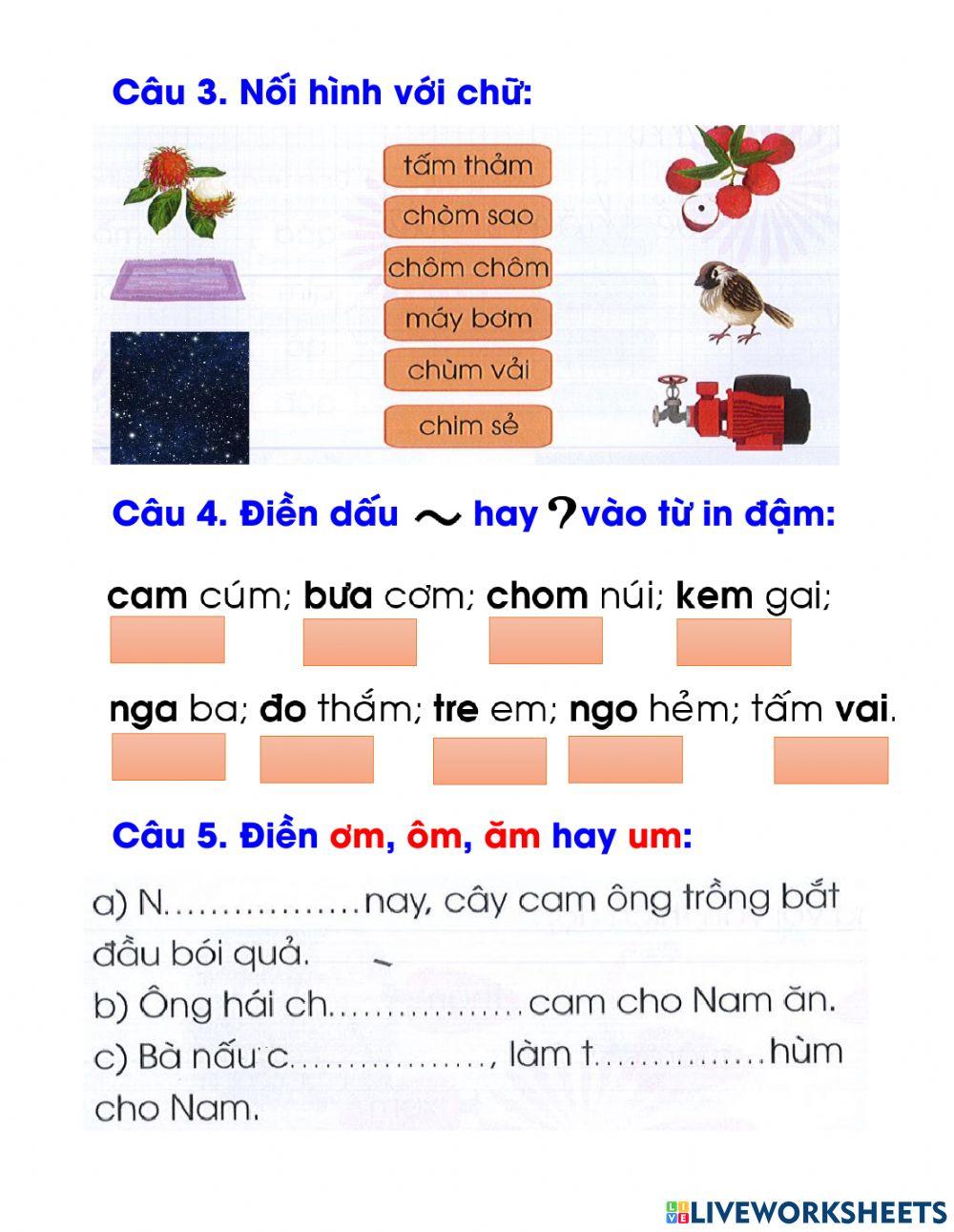 Ôn tập cuối tuần 13