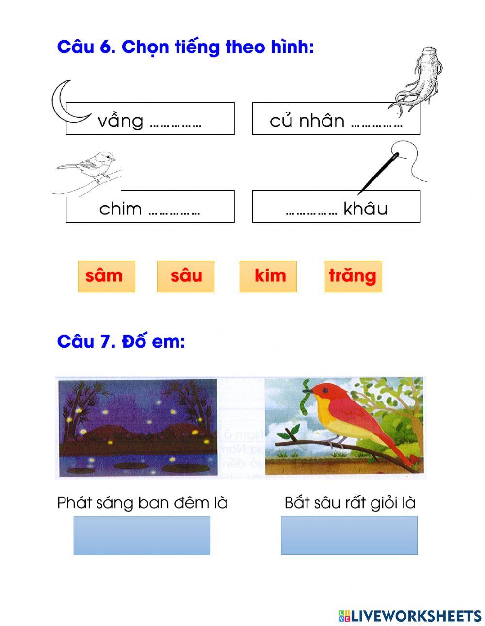Ôn tập cuối tuần 13