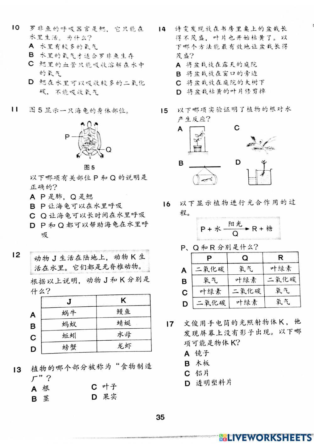 预考试卷1 part1 选择题1-25 y4