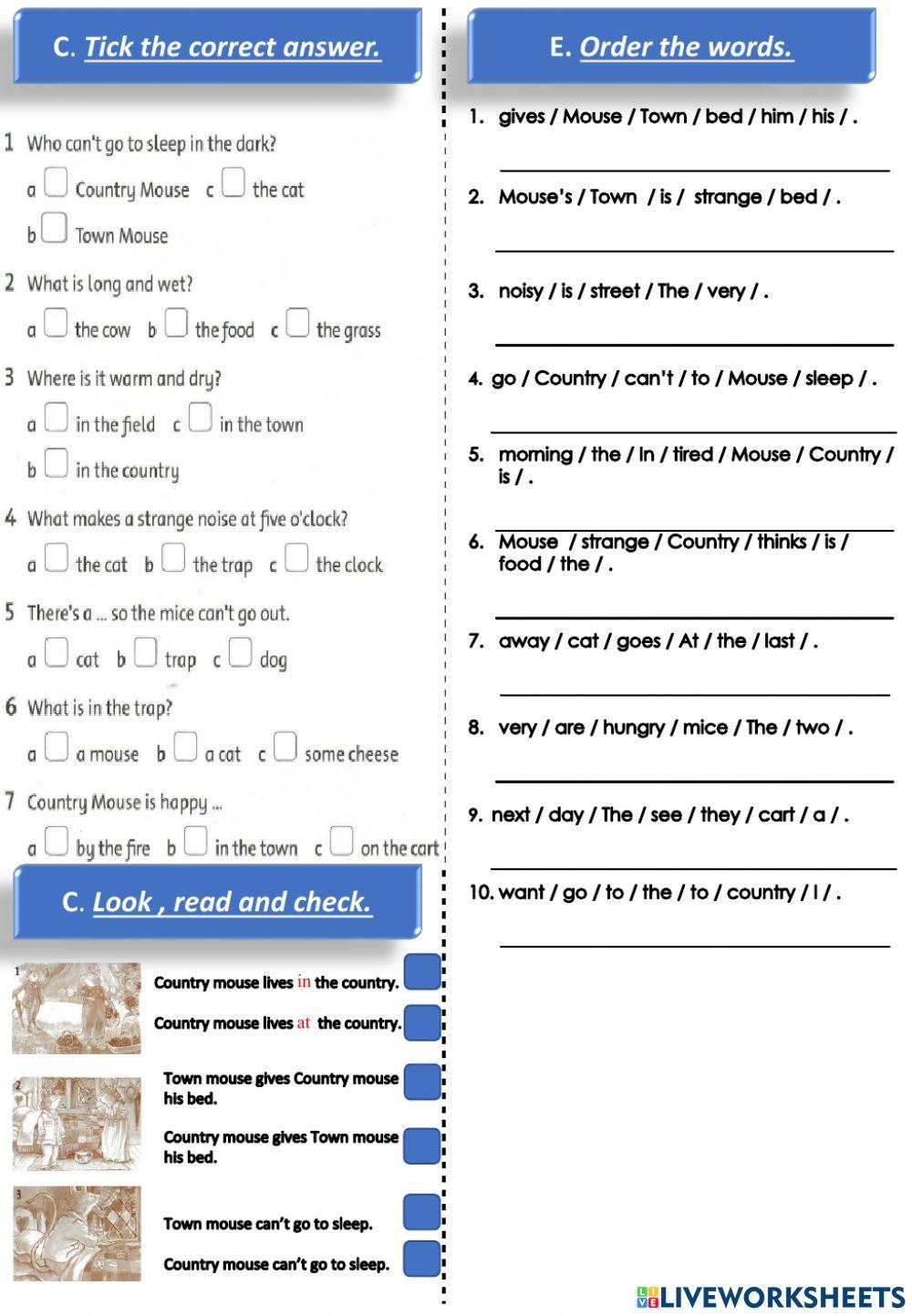 The First Quarter Examination