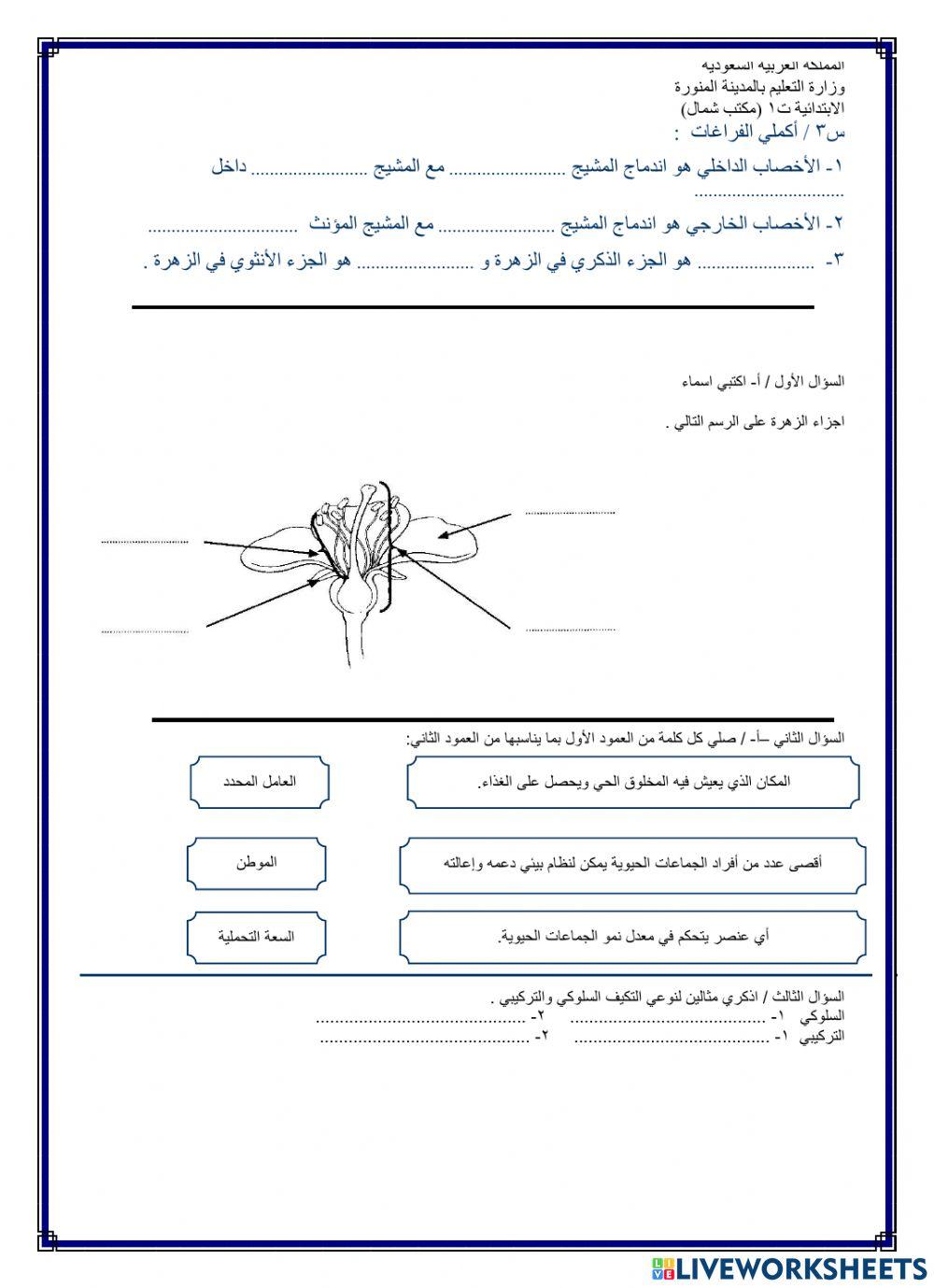 الفاقد علوم نهائي