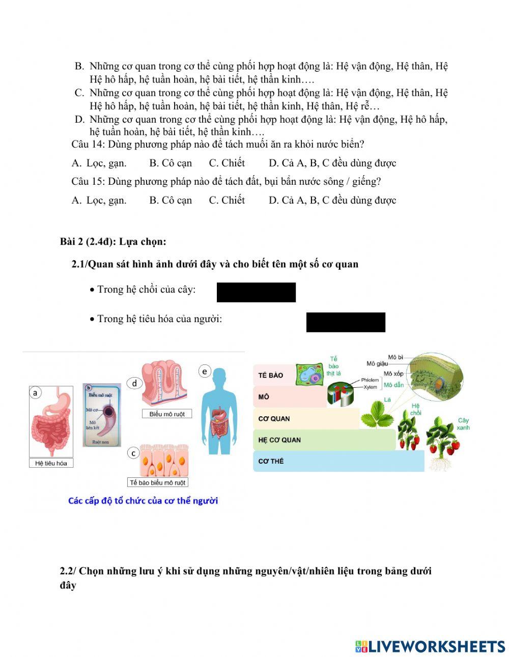 Đề thi chính thức cuối kì 1 KHTN6