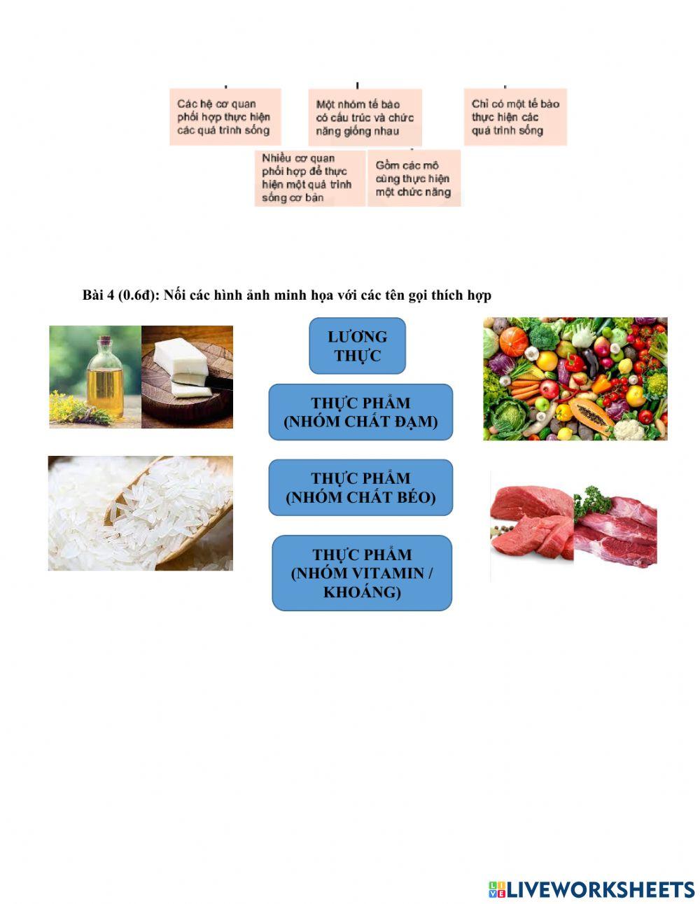 Đề thi chính thức cuối kì 1 KHTN6