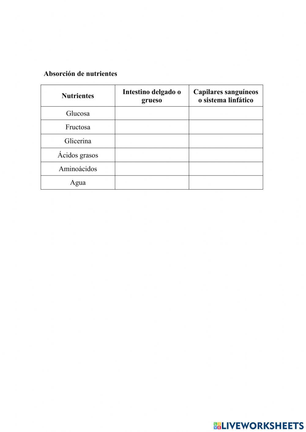 Digestión y absorción de nutrientes