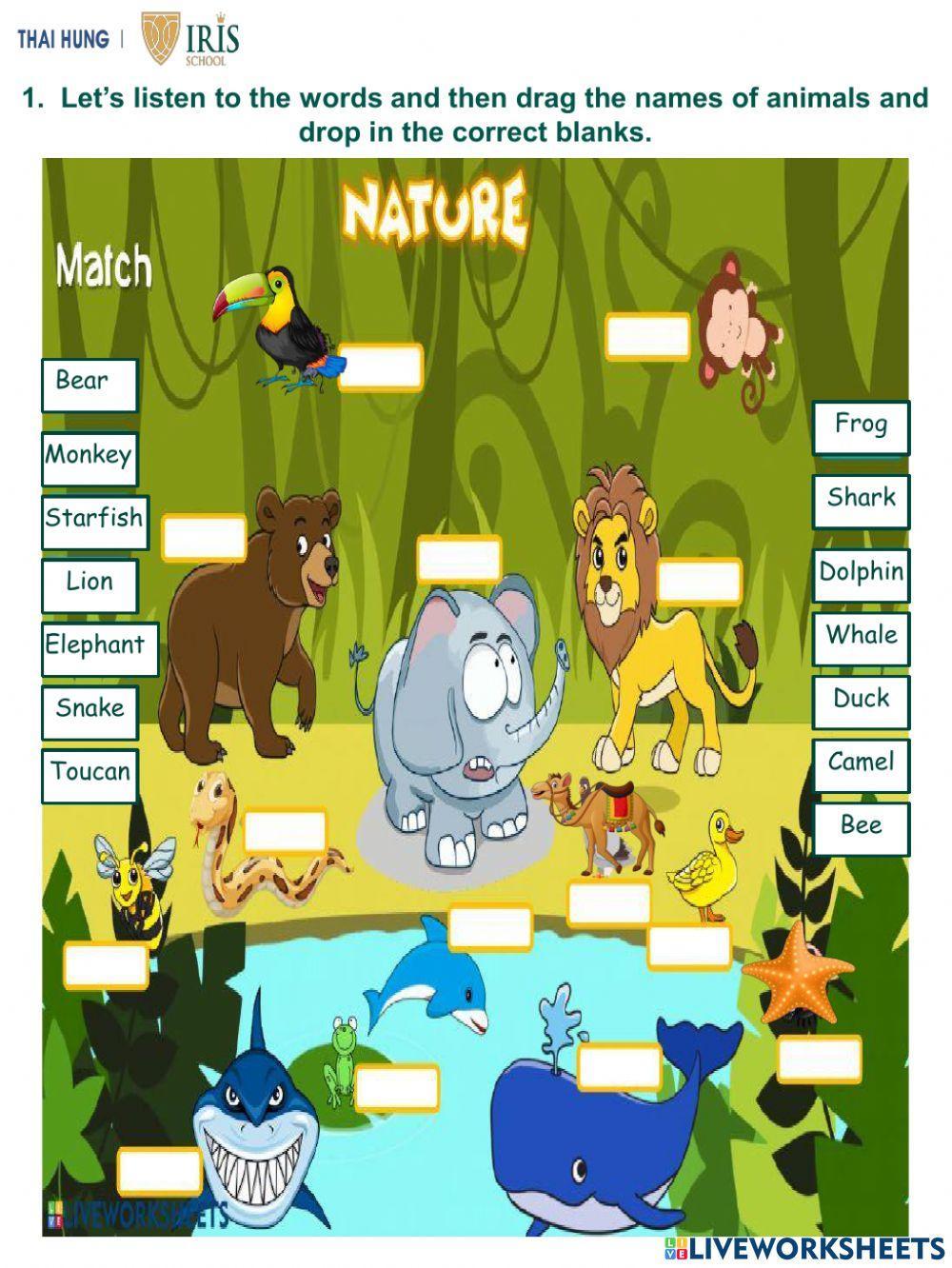 English-Rainbow-In the Jungle 2