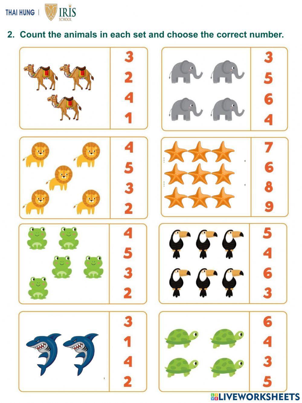 English-Rainbow-In the Jungle 2