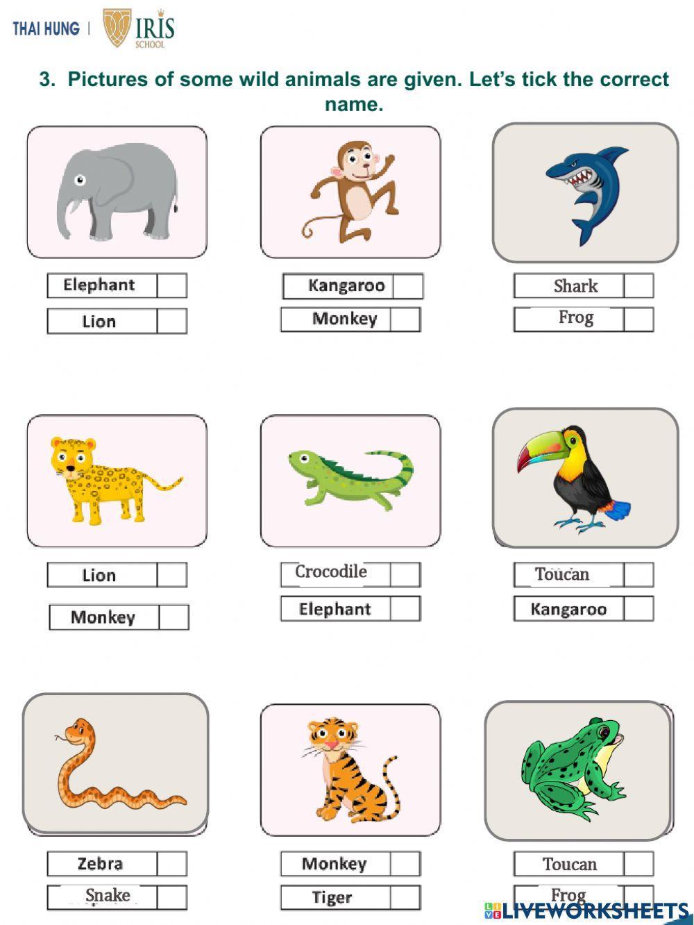 English-Rainbow-In the Jungle 2