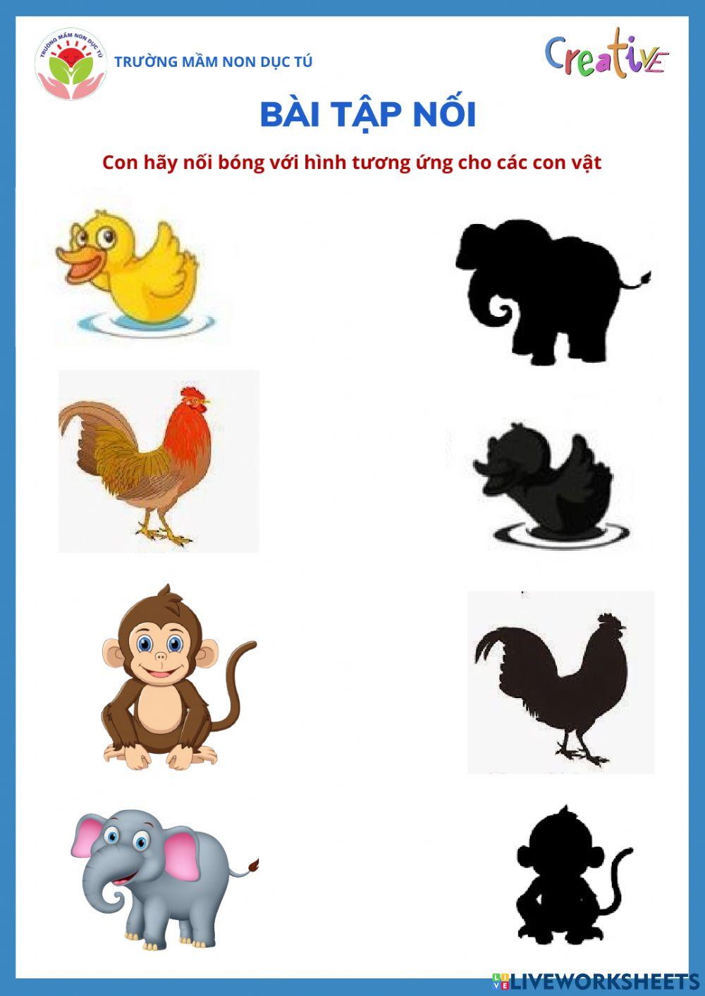 Bài tập nối các con vật