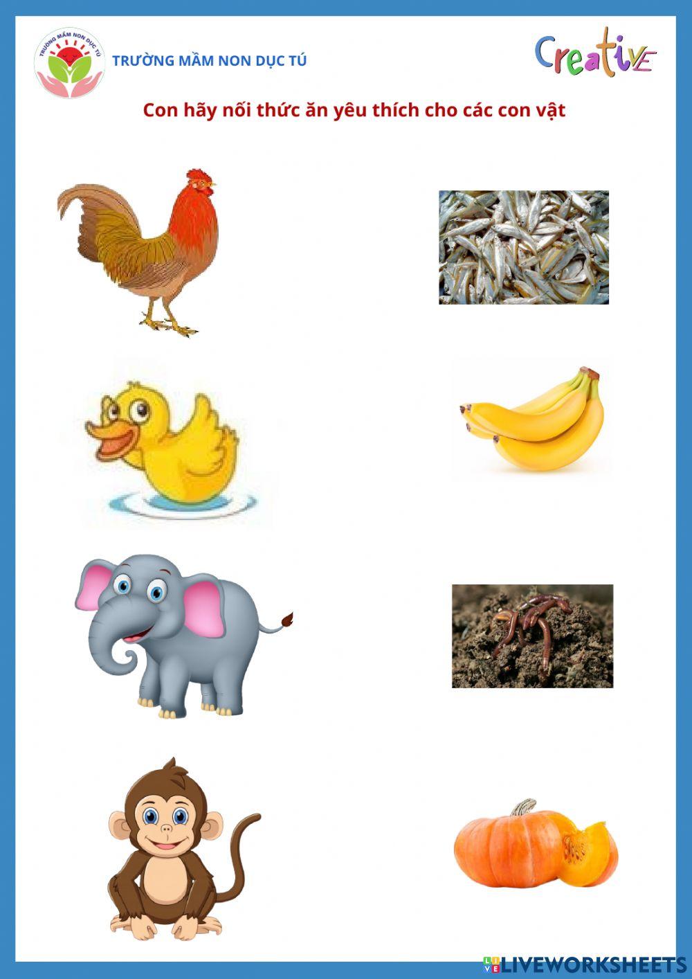 Bài tập nối các con vật