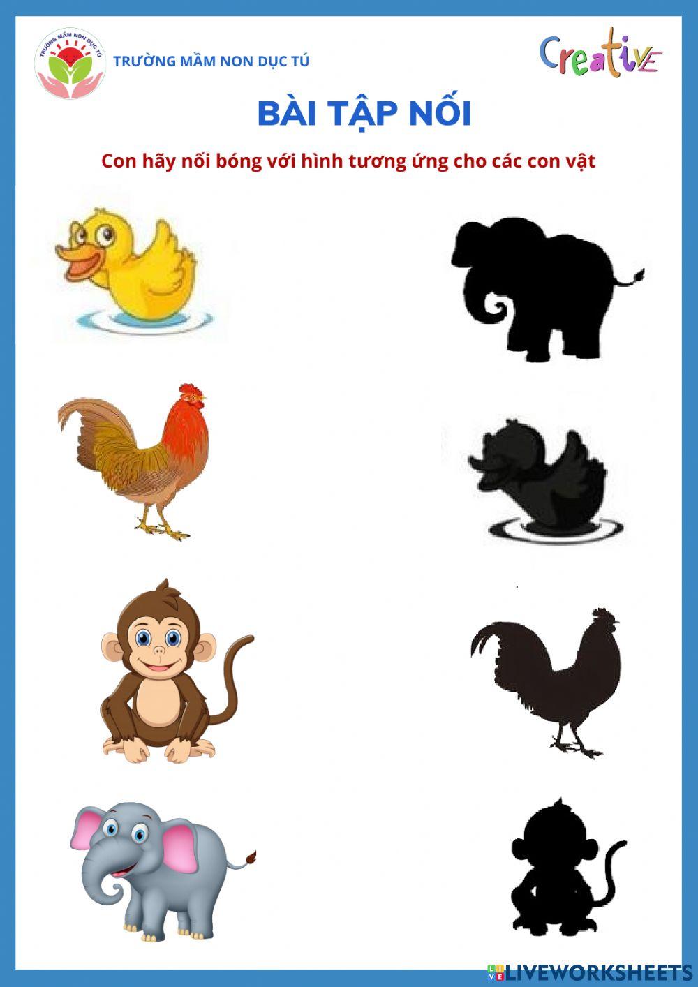 Bài tập nối các con vật