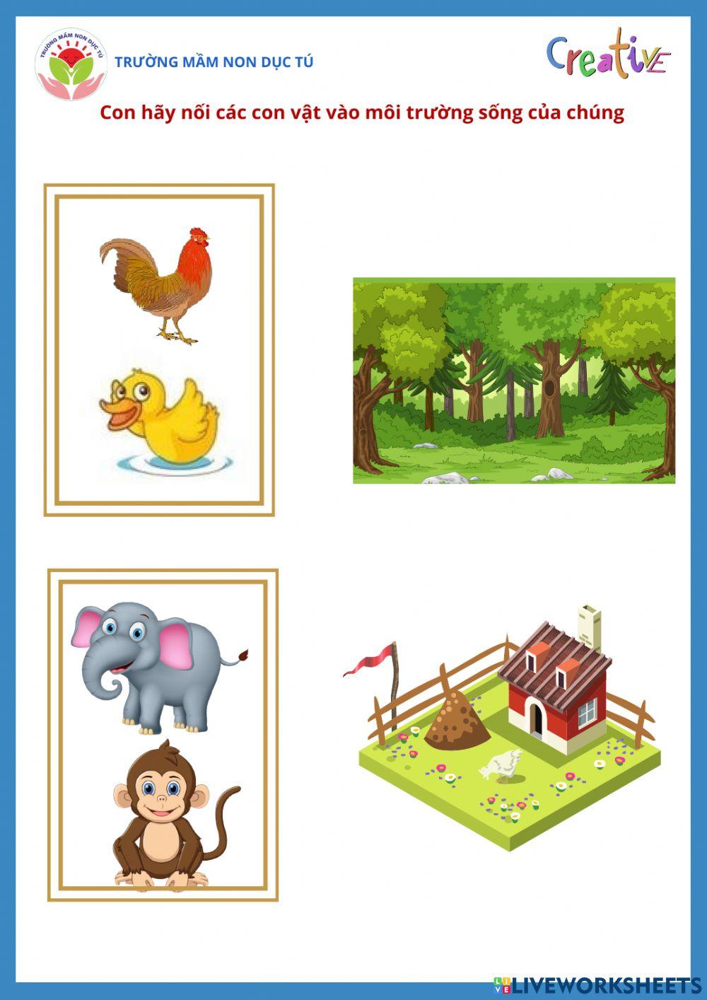 Bài tập nối các con vật