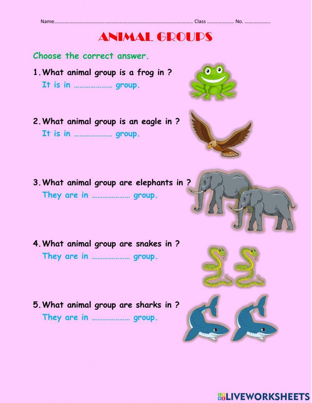 Animal groups