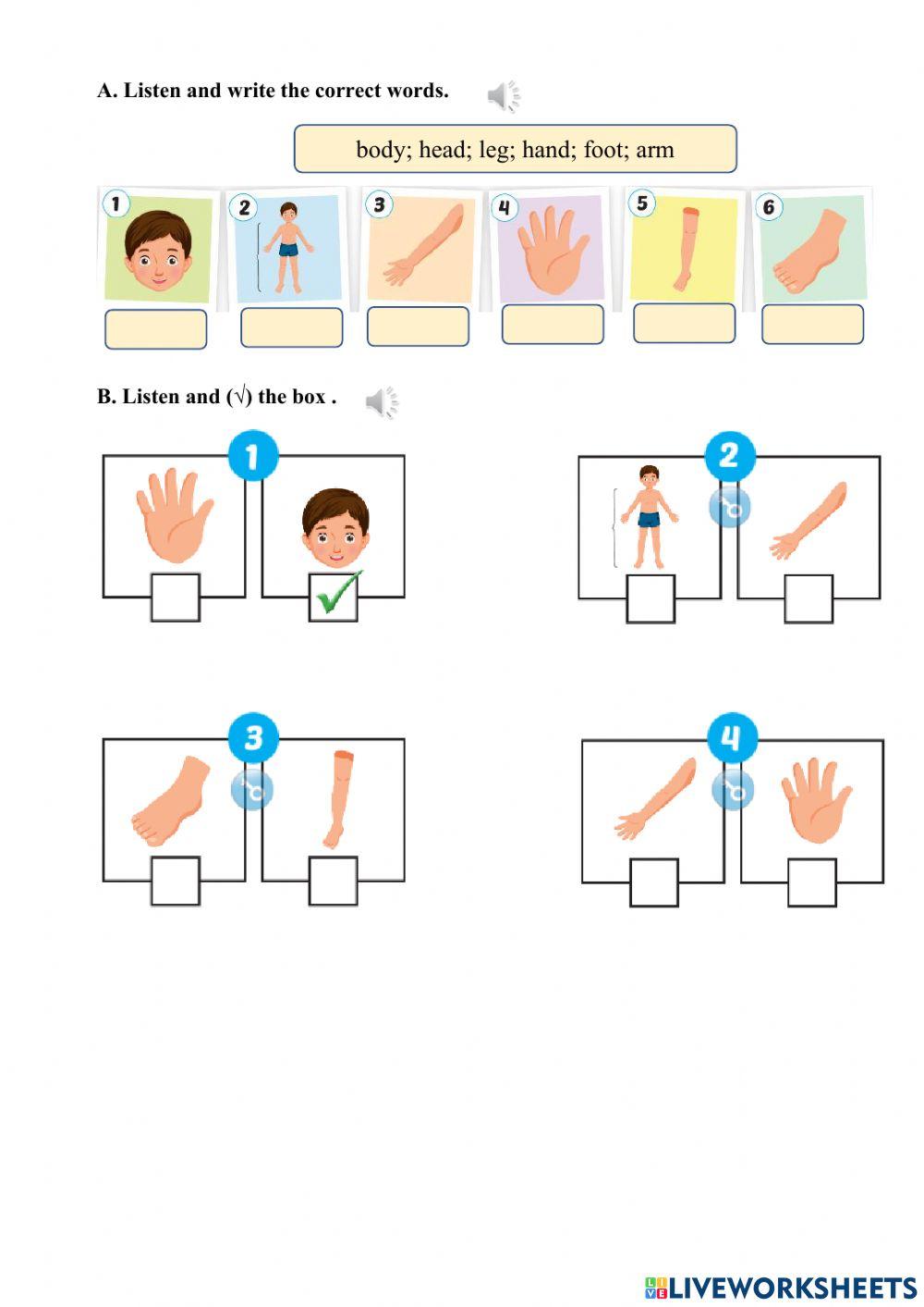 Parts of the body and face