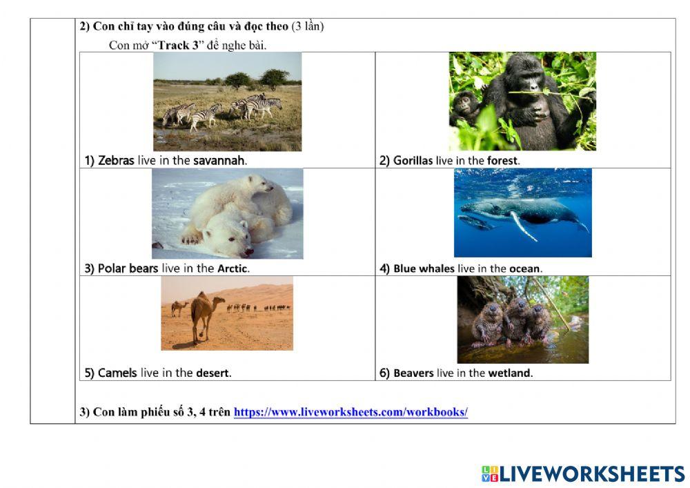 Phiếu giao bài Tiếng Anh tuần từ 20 đến 24.12