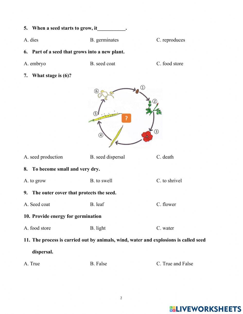 Science 5- test 1- semester 1