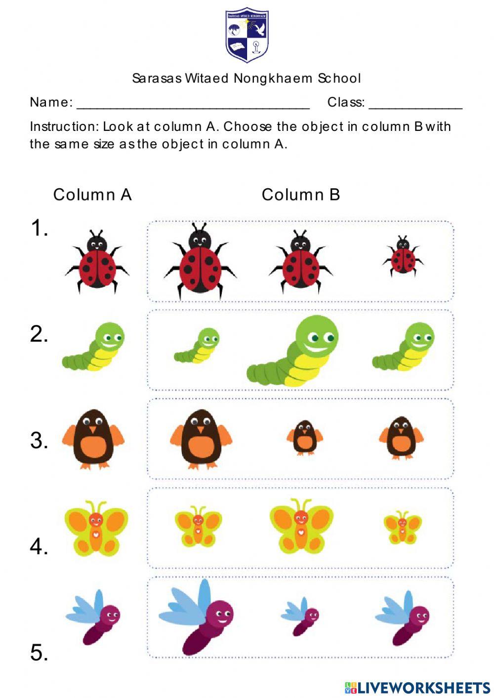 Same, Not The Same Size