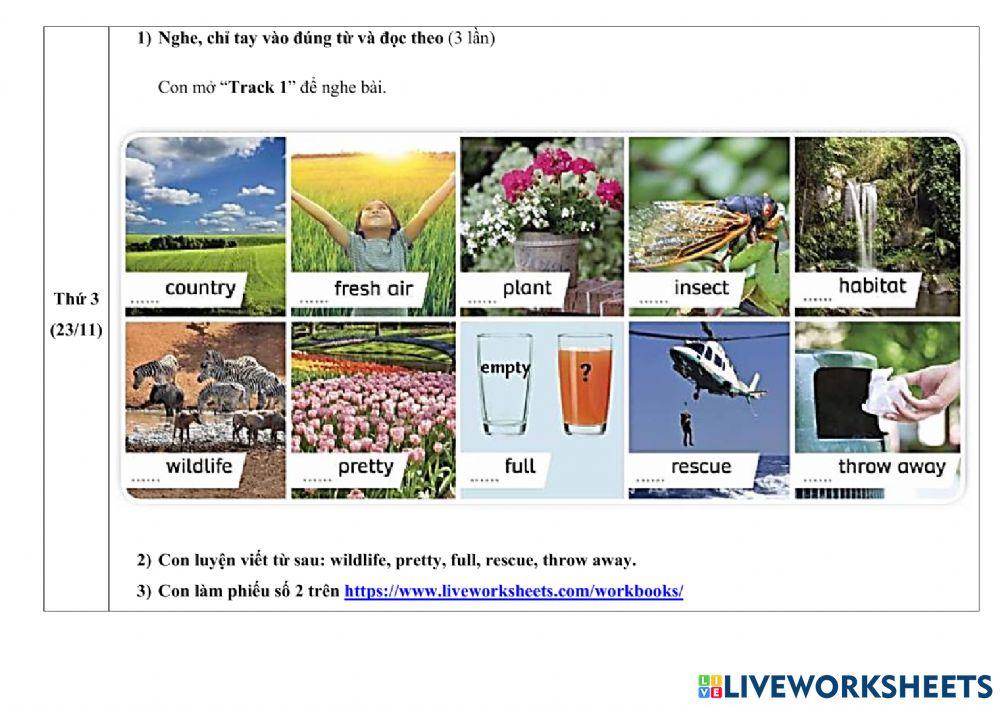Hướng dẫn học tuần 21