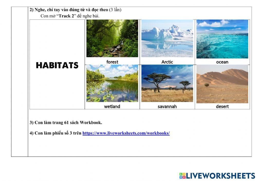 Hướng dẫn học tuần 21