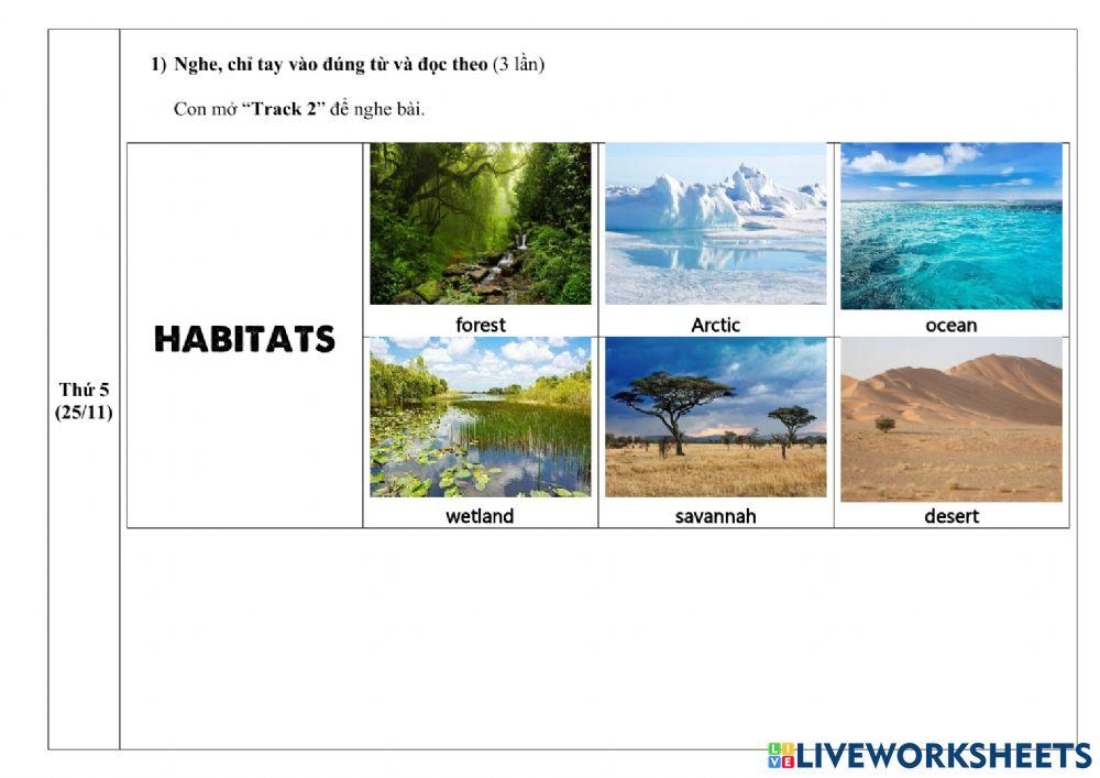 Hướng dẫn học tuần 21