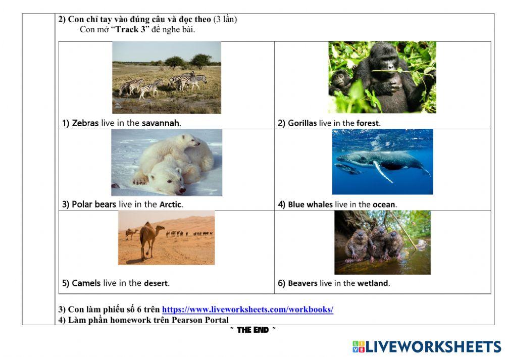 Hướng dẫn học tuần 21