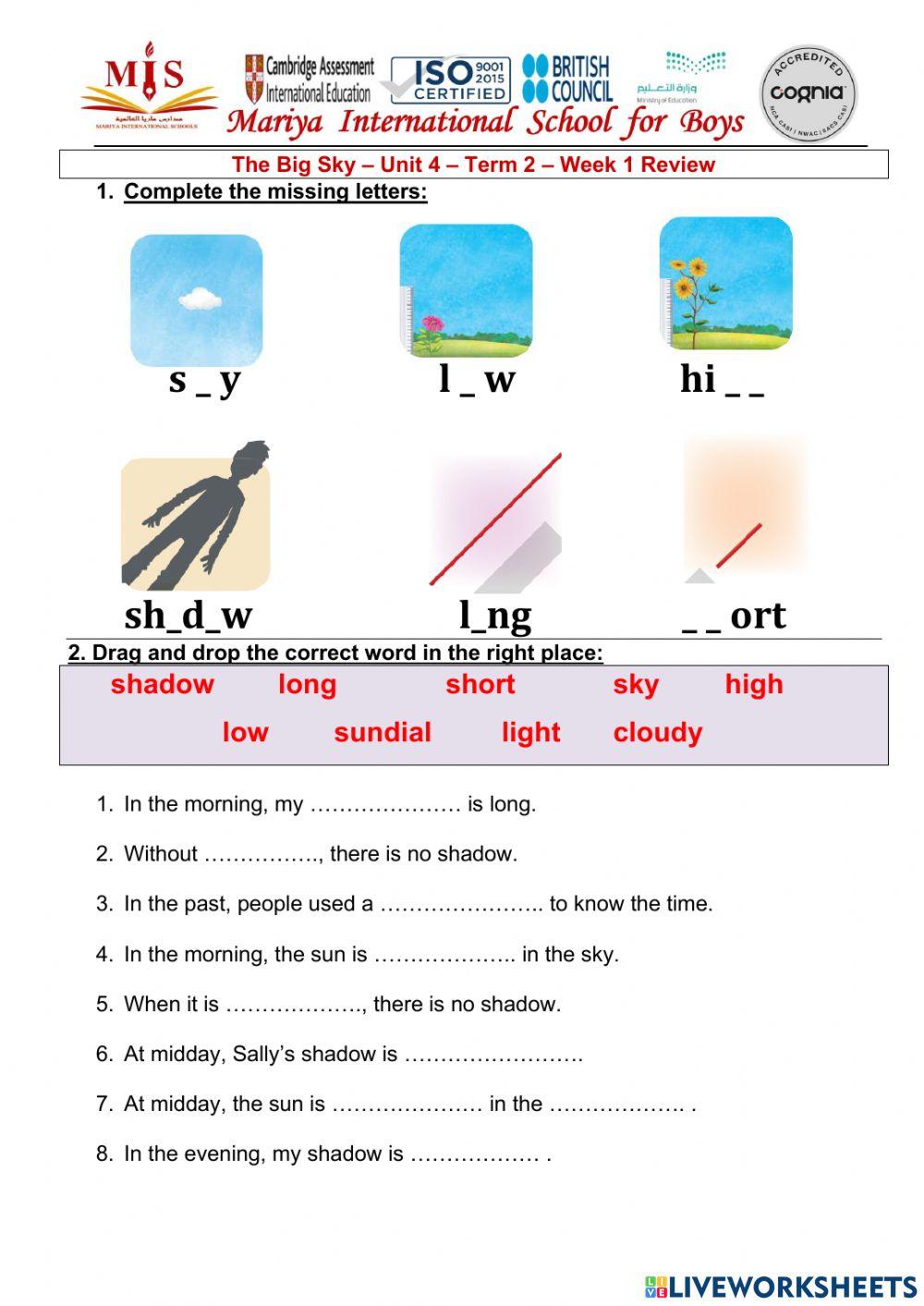 Shadow and light - T2W2 Review