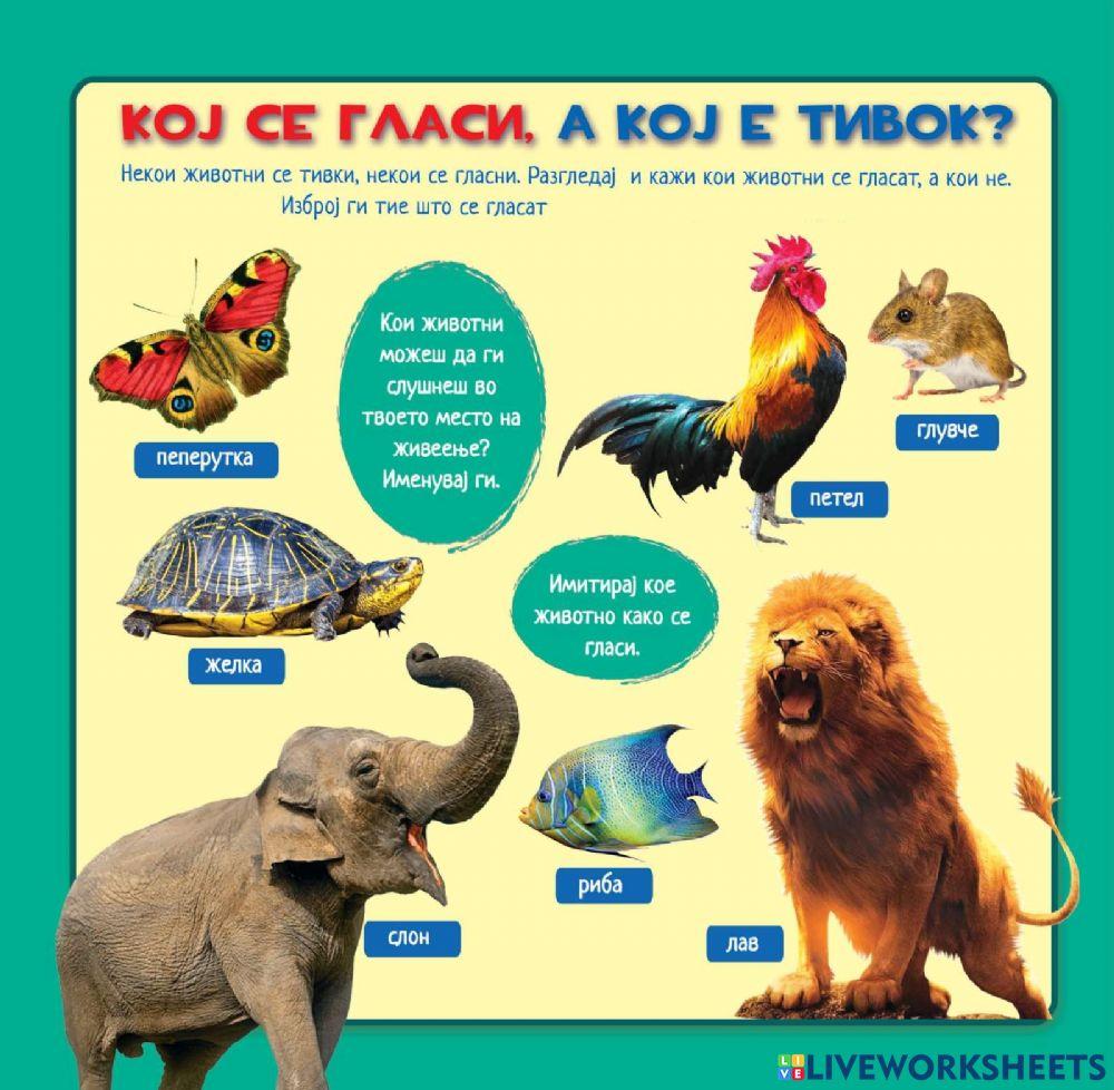 Кој се гласи, а кој е тивок? (Во соработка со Росица)