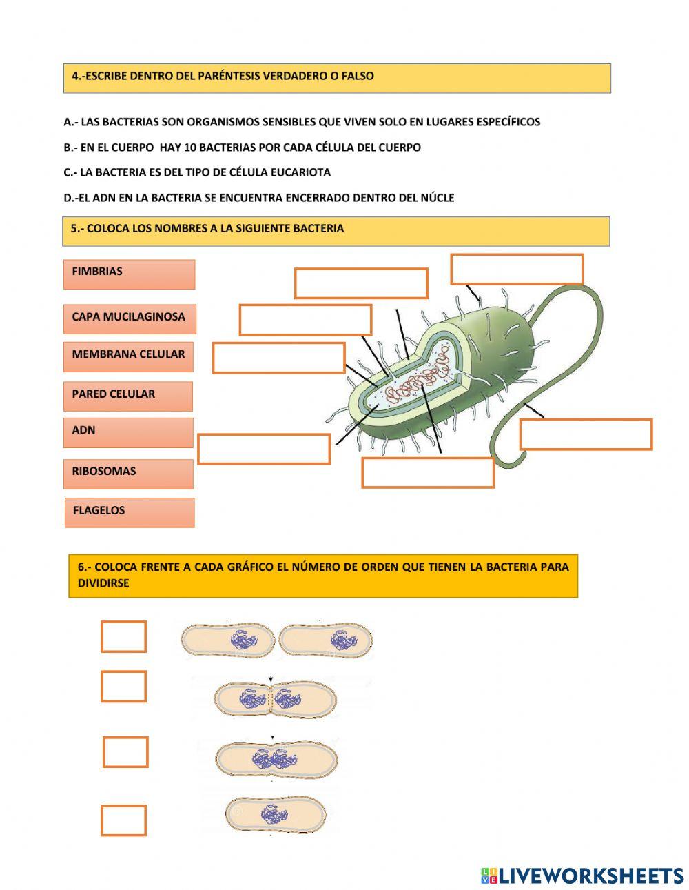 Enfermedades infectocontagiosas