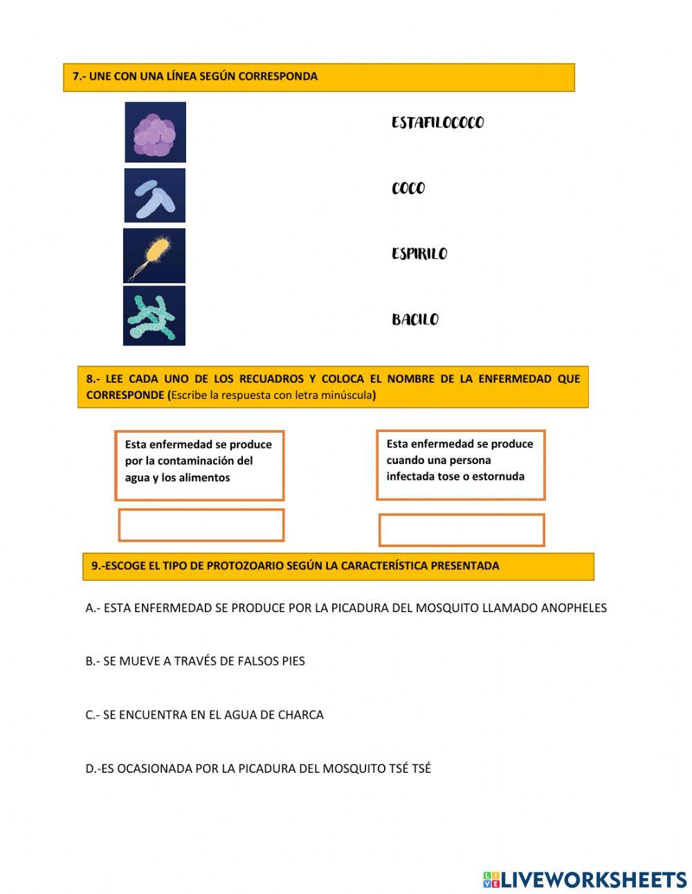 Enfermedades infectocontagiosas