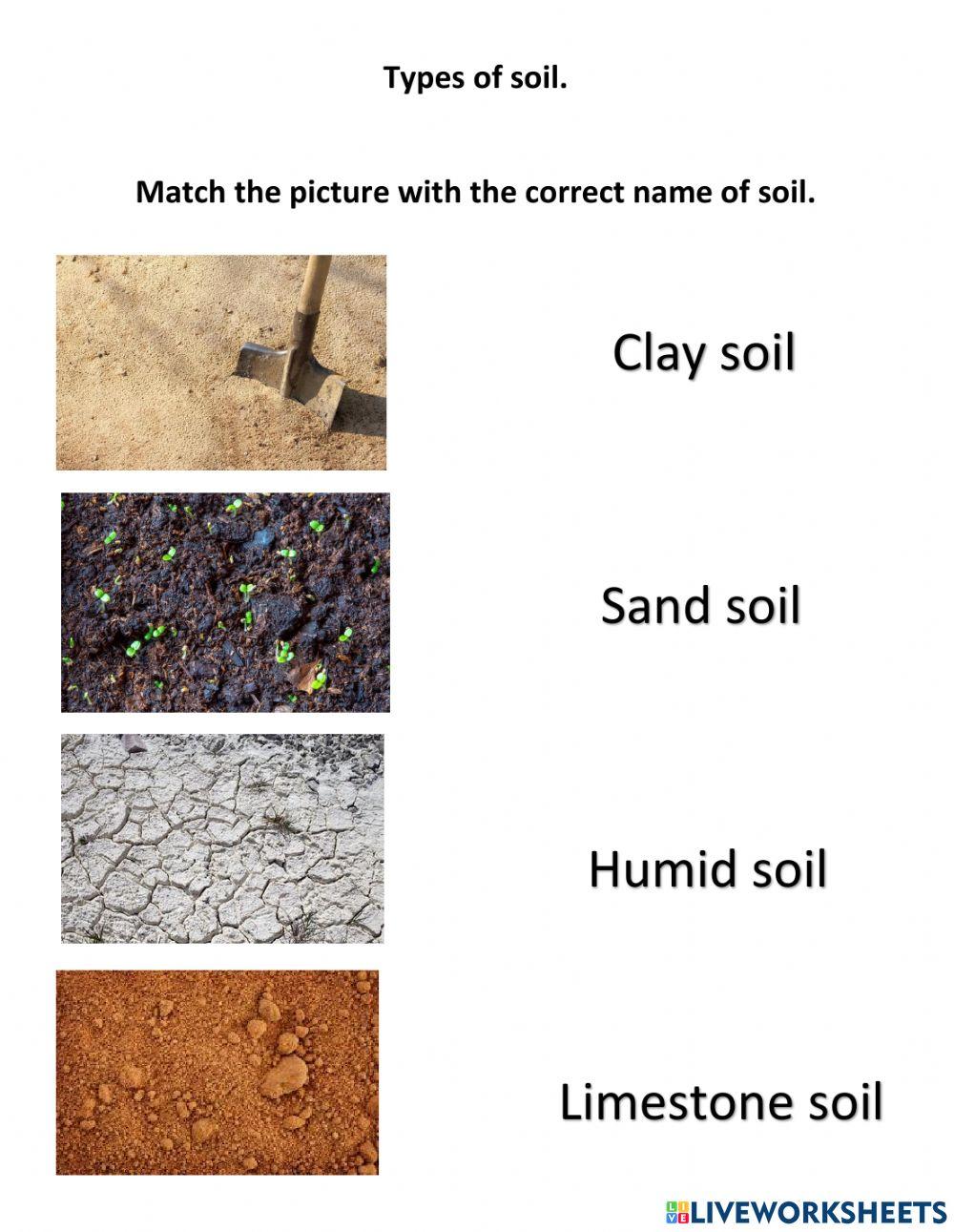 Types Of Soil Worksheets