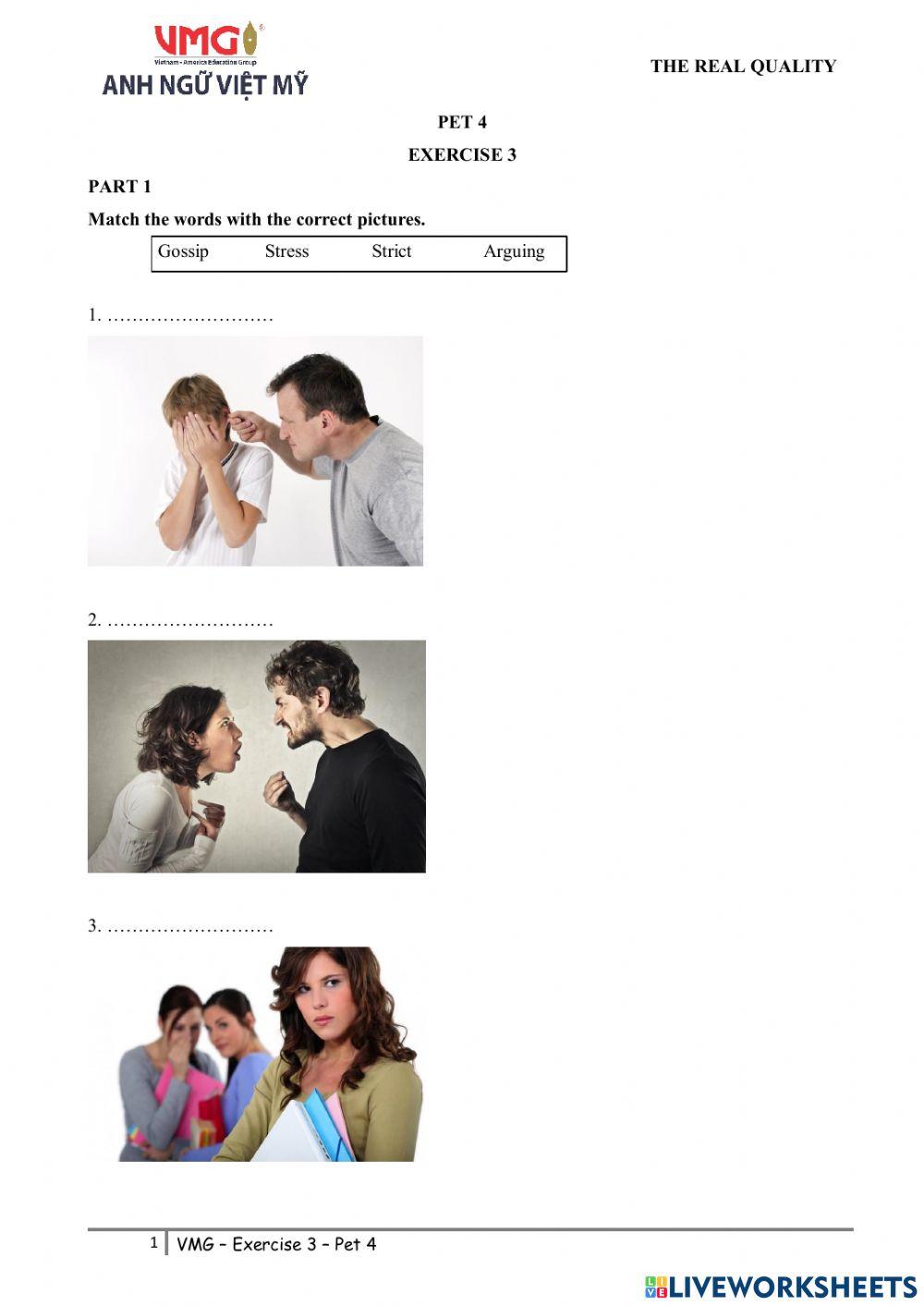 Online practice 3 - Pet 4