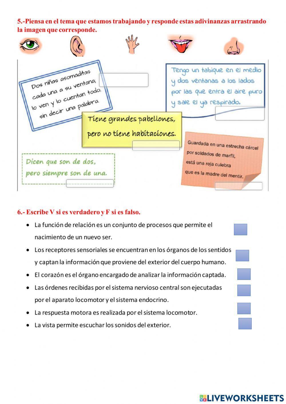 La función de relación
