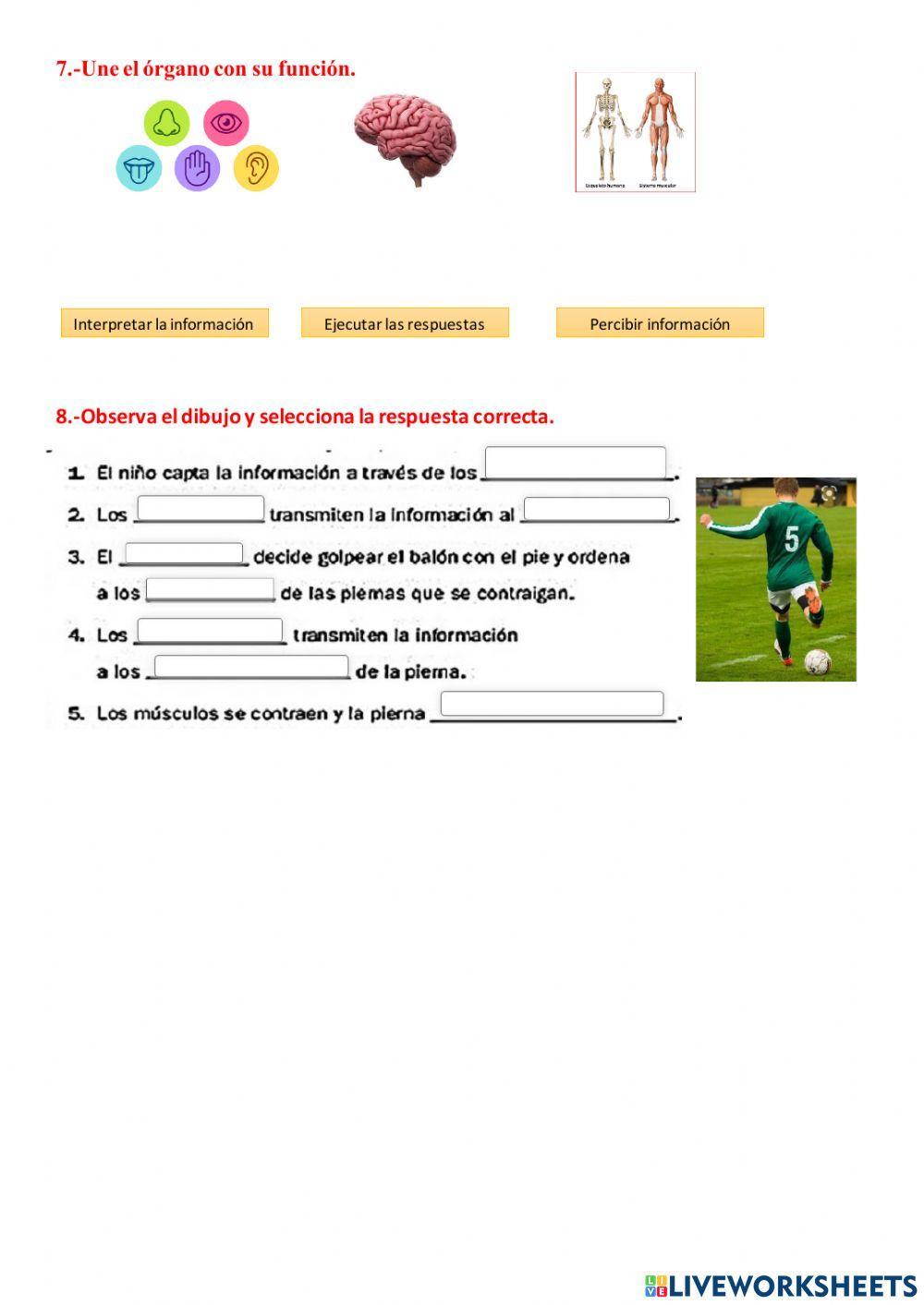 La función de relación