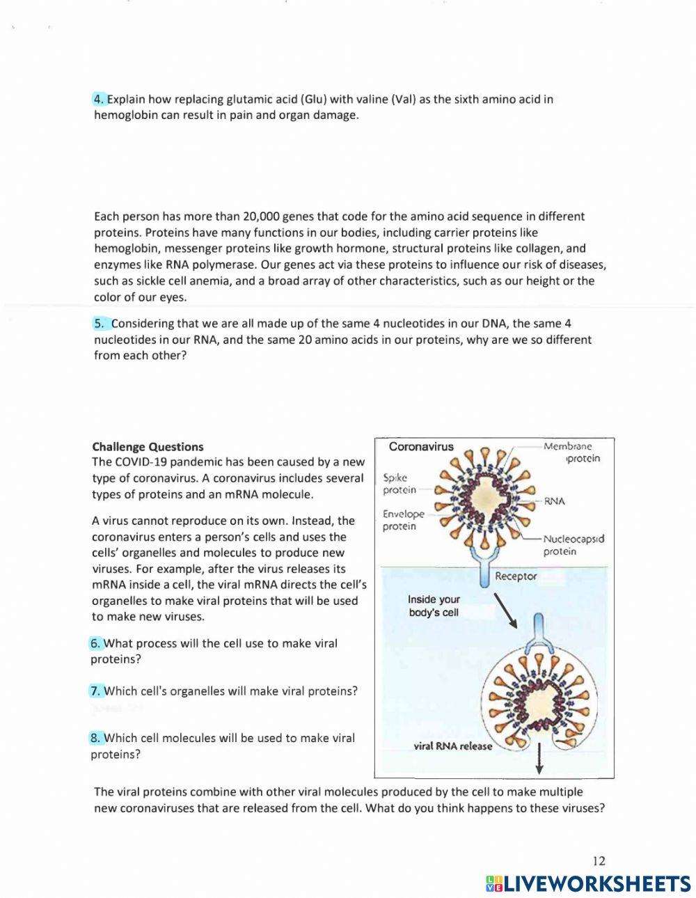 Gene Mutation: Sickle Cell Anemia