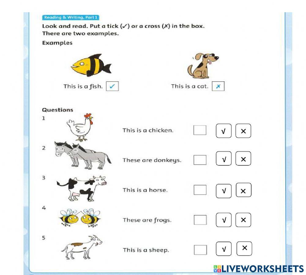 Reading and Writing -Starter -U1