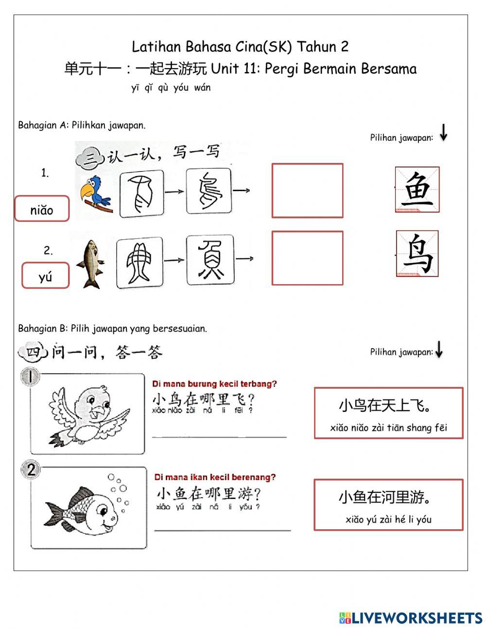 BCSK Tahun 2 Unit:11
