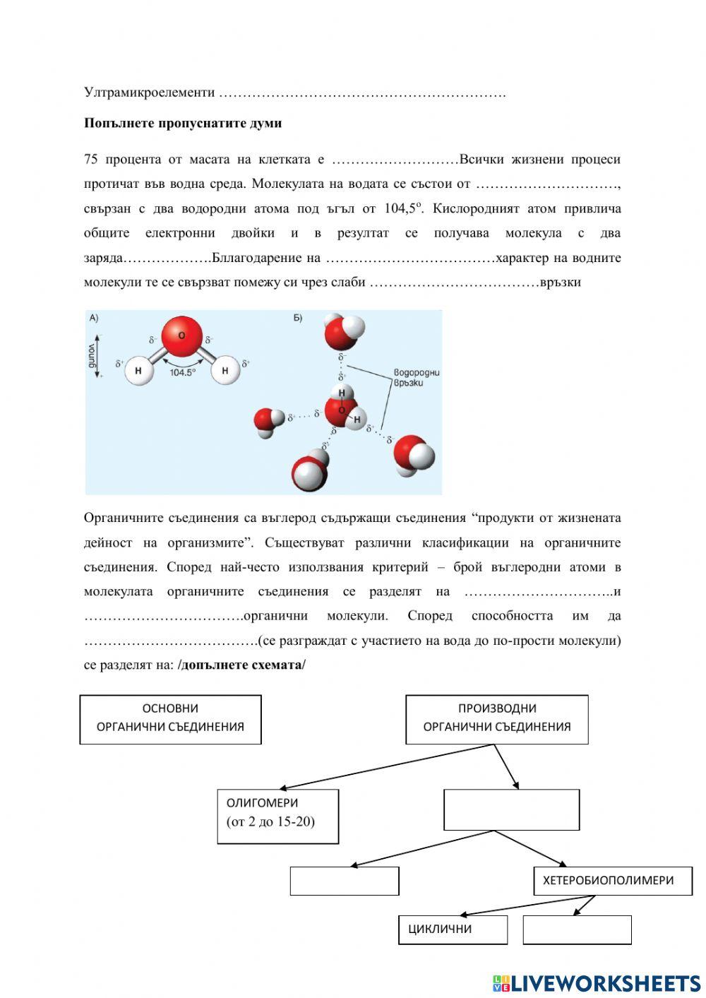 Химичен състав на клетката.НМК worksheet | Live Worksheets
