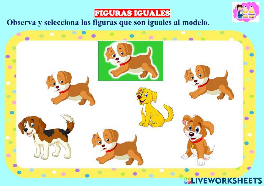 Figuras iguales y diferentes