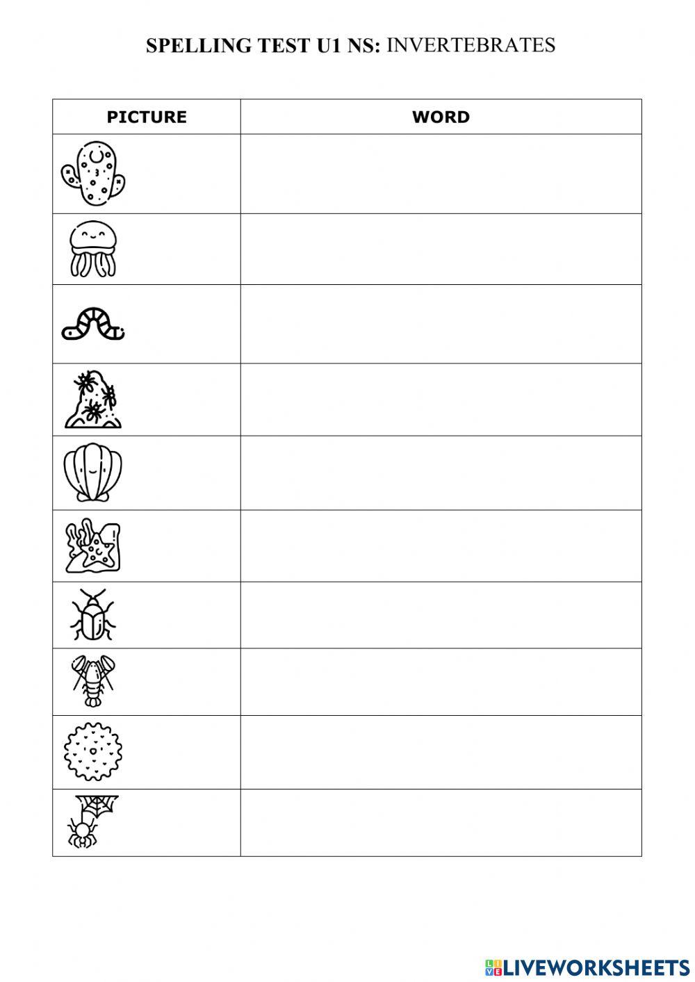 SPELLING TEST: Invertebrados