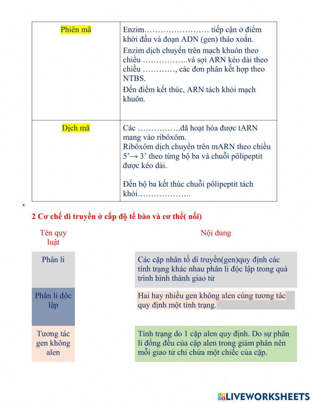 Ôn tập phần di truyền học