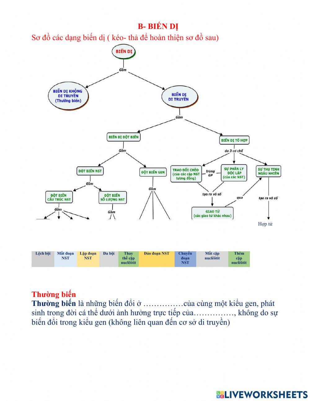 Ôn tập phần di truyền học