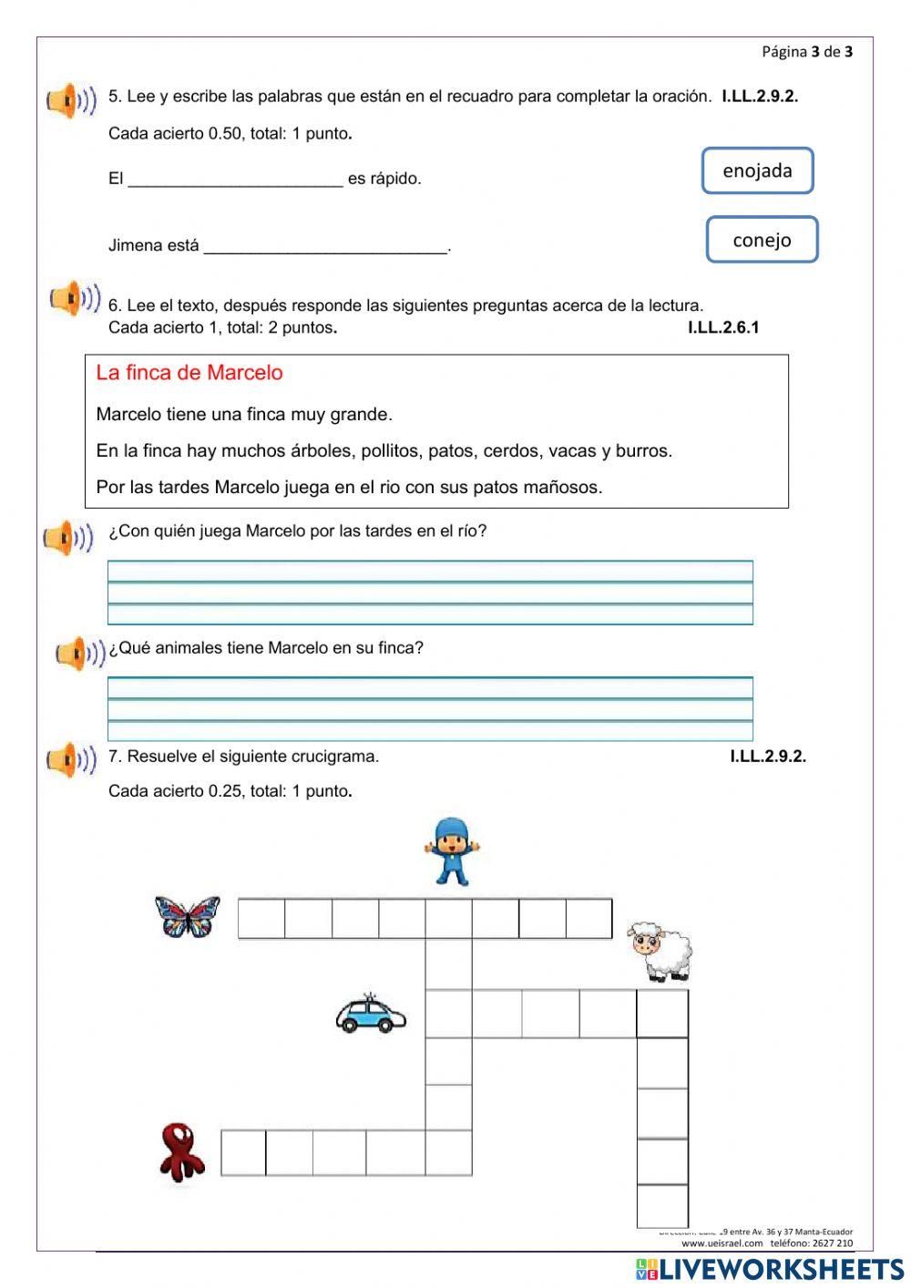 Evaluación del tercer pacia lengua