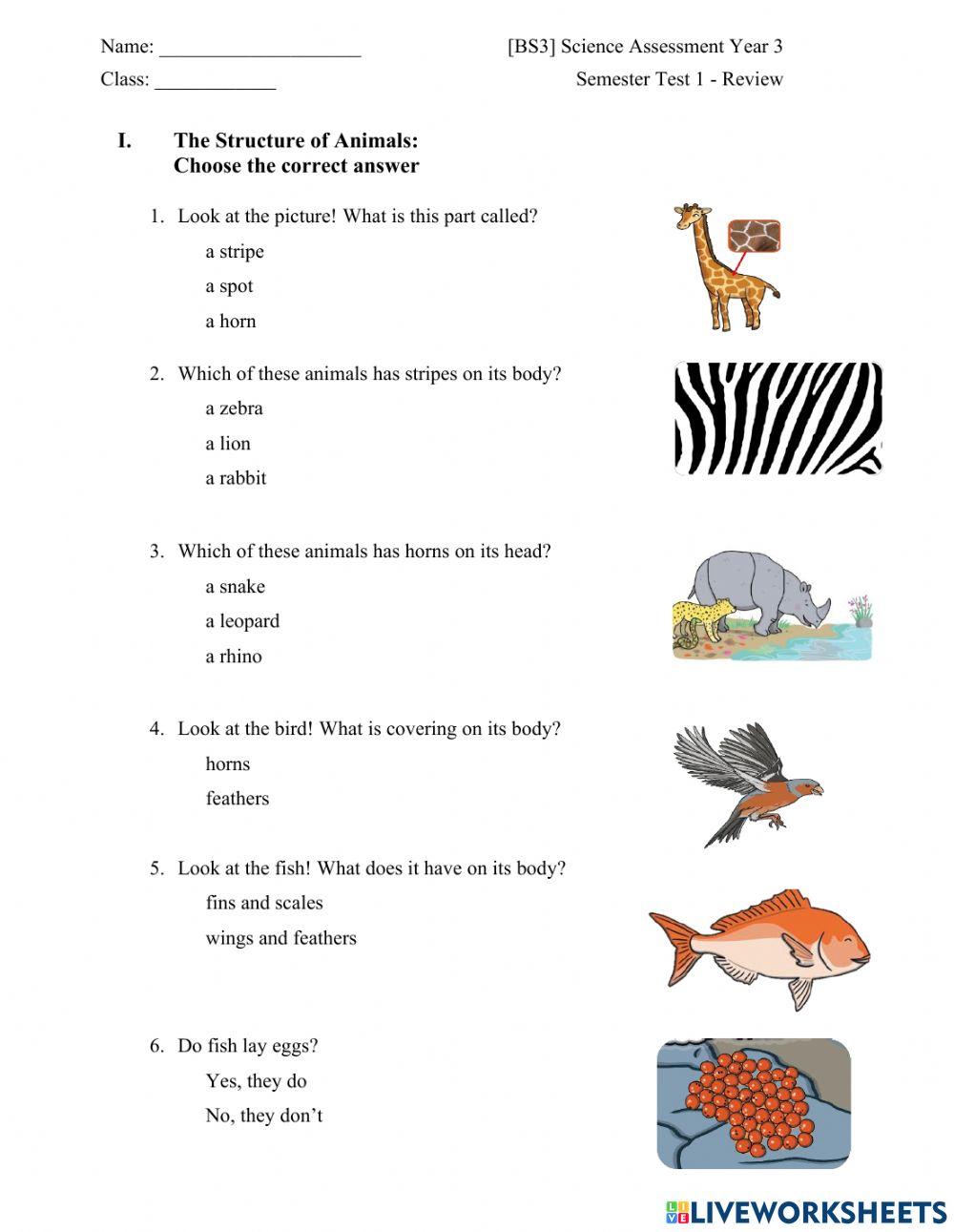 Big Science 3 Semester 1 - REVIEW
