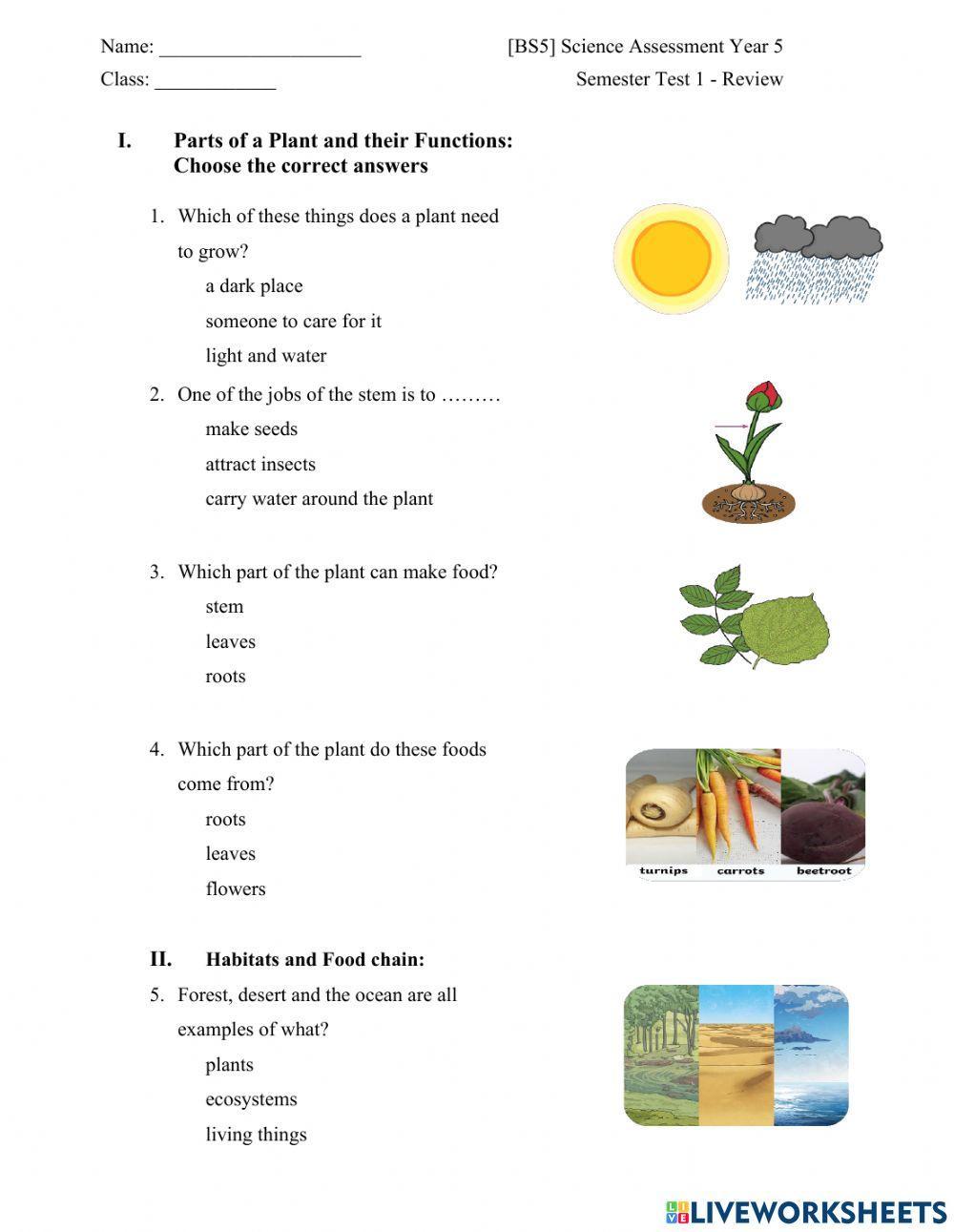 Big Science 5 Semester 1 - REVIEW