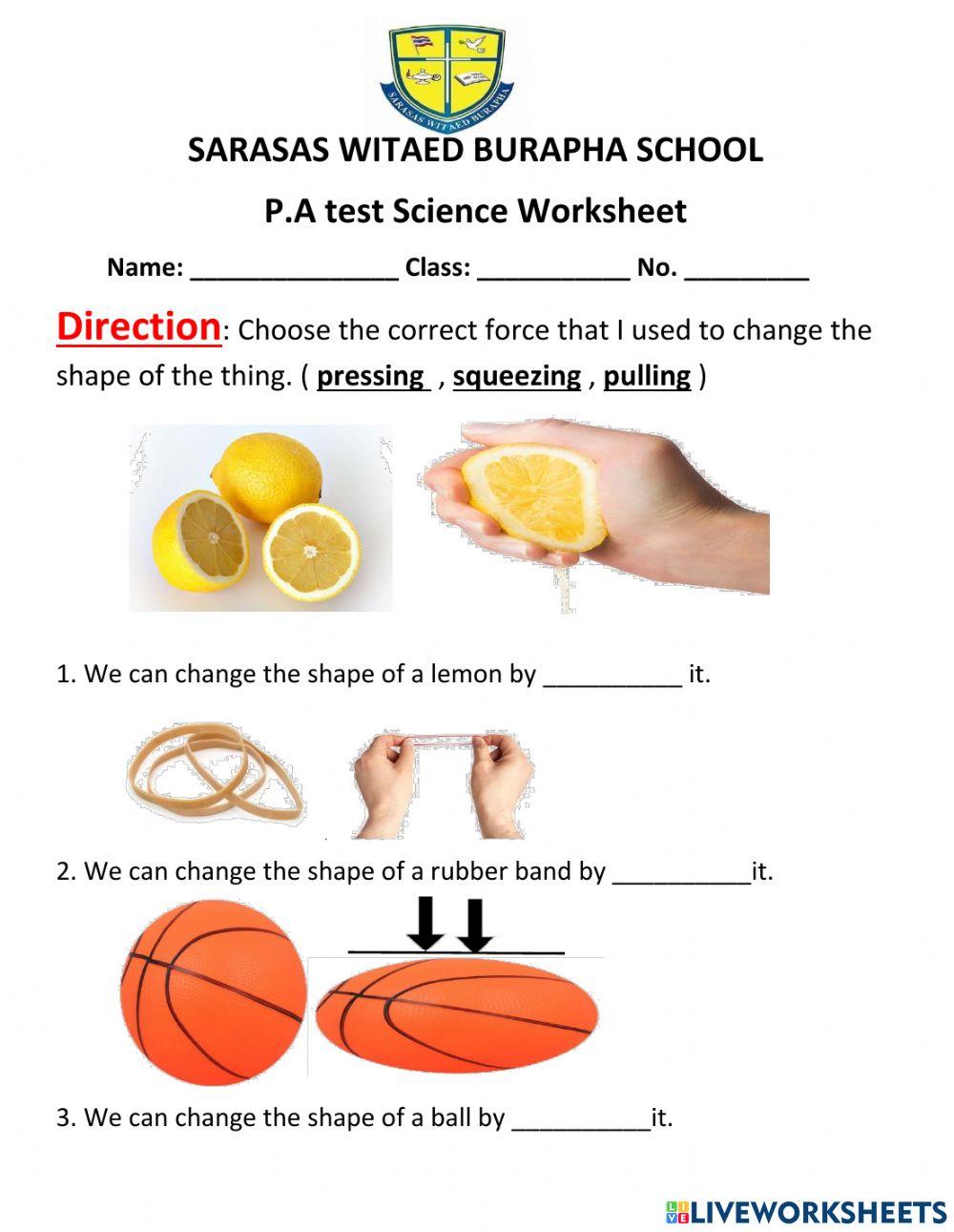 Science Week 8 activity 2: force