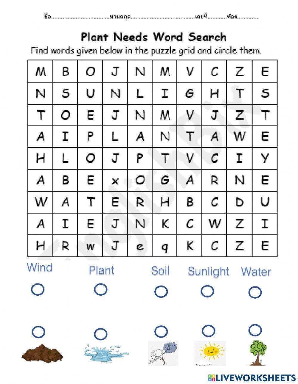 Wordsearch online exercise for ประถม | Live Worksheets