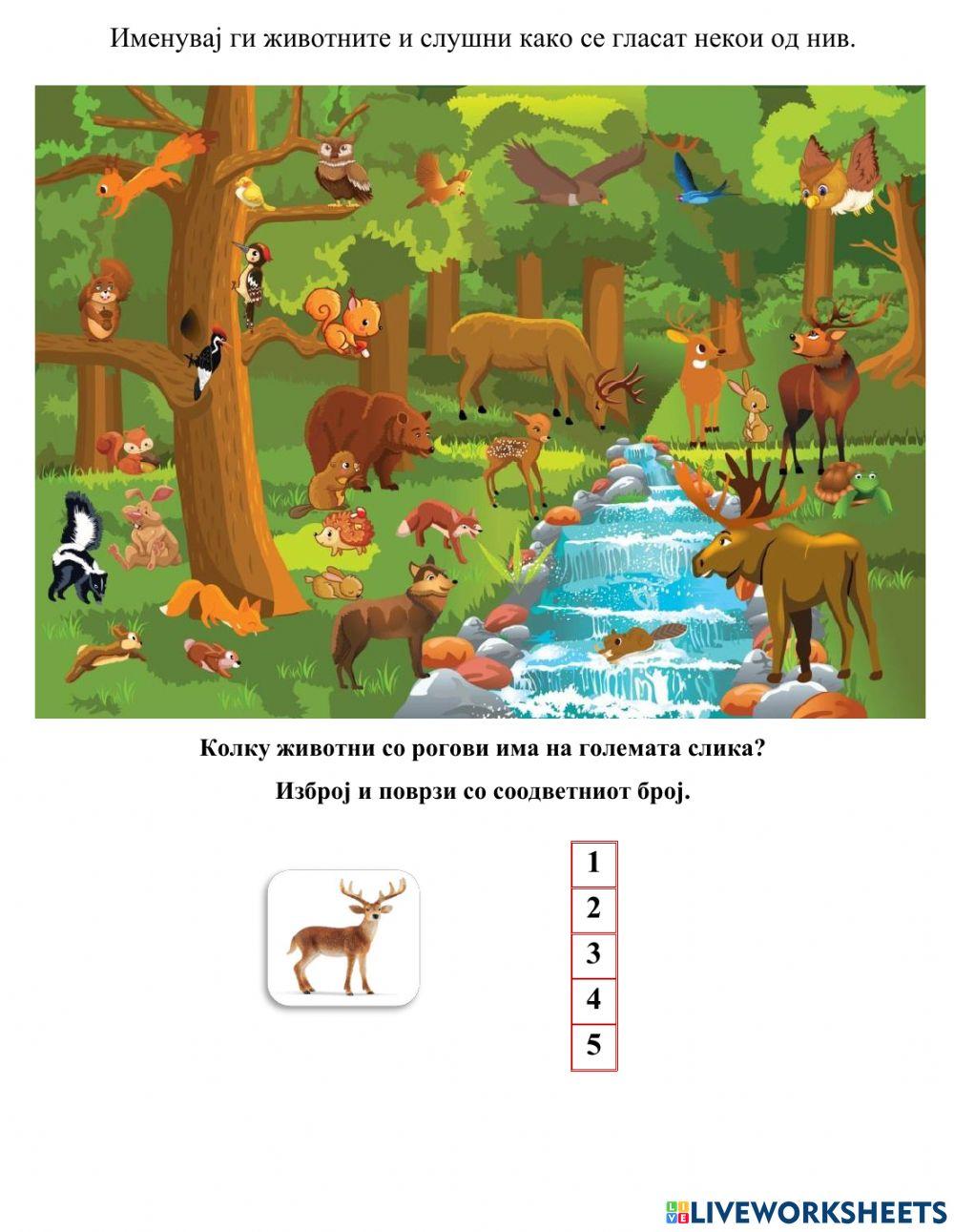 Животни (Во соработка со Росица)