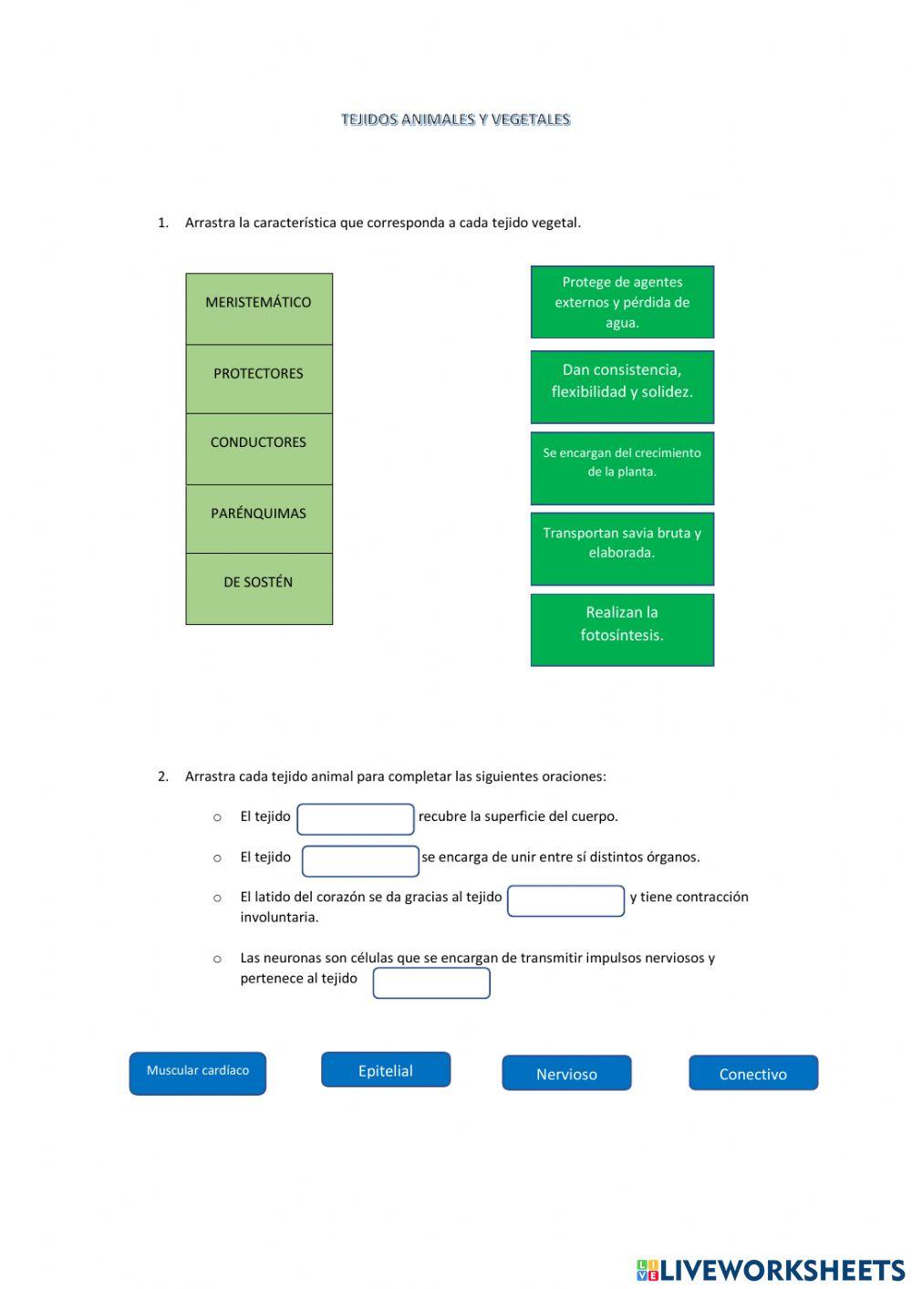 Tejidos animales y vegetales