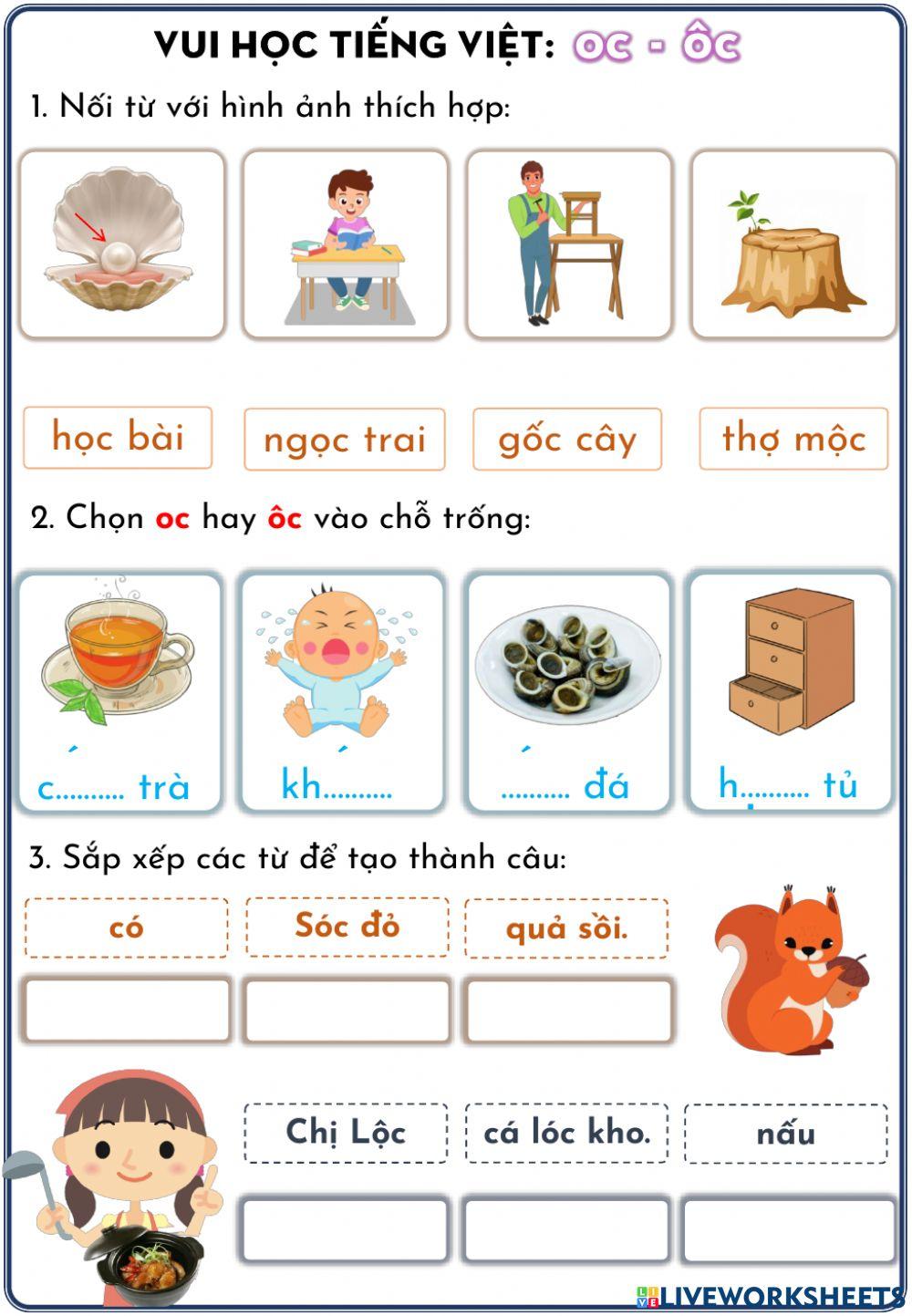 Phiếu ôn tập oc, ôc