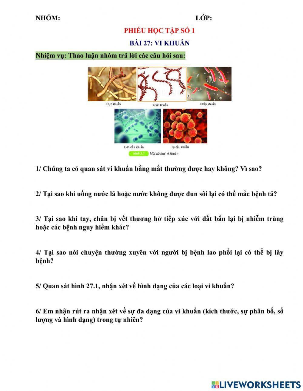 Pht số 1. bài 27. vi khuẩn